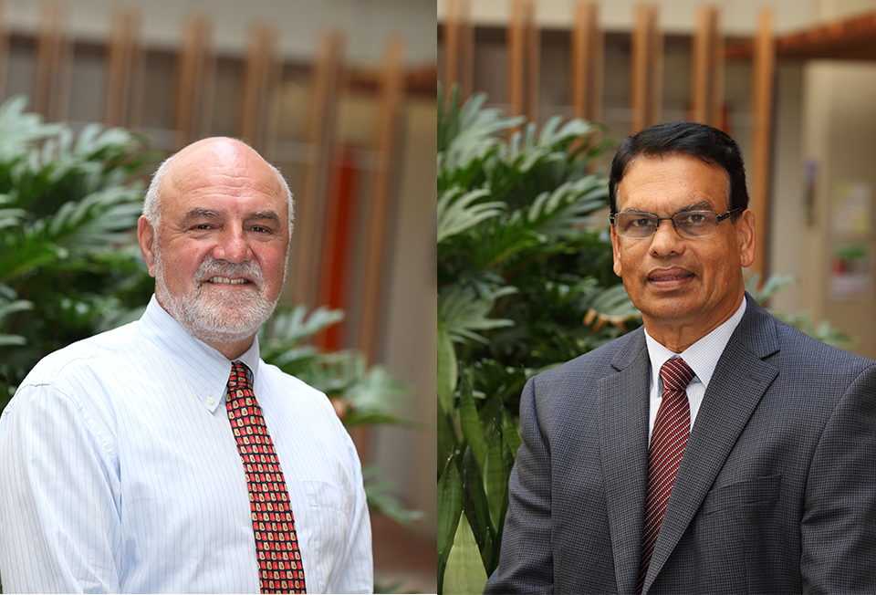 Professor Peter Liesch & Associate Professor Jay Weerawardena