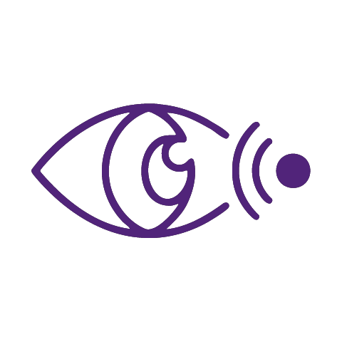 icon of an eye taking in information