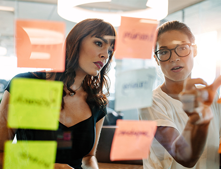 Two women planning business strategy