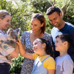 A woman, man and two children petting a koala being held by a handler