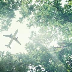 Airplane seen through a gap in thick forest 