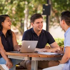 Honours Information Webinar
