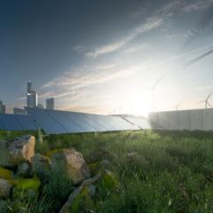 Thought Leadership Series: Planting the seed – strategies reshaping business success within ecological limits