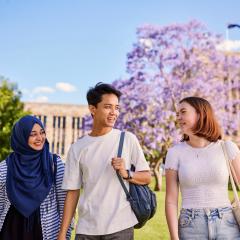 Honours Information Webinar