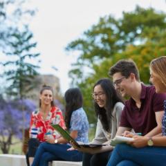 Honours Information Session