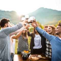 Group of people clinking glasses together in a vineyard