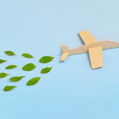 Craft wooden plane on a blue background with leaf emissions