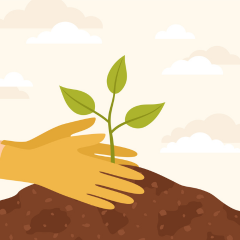 Hands in yellow rubber gloves planting a seedling in the ground. 