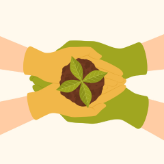 Hands of an adult and a child in rubber gloves holding a seedling in the soil in their palms, top view.
