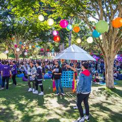 BEL Festival Image